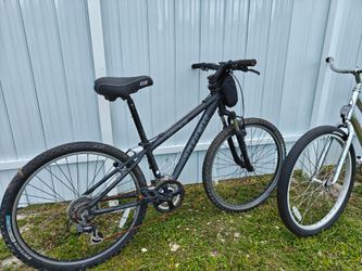Trek Bike + One as Gift