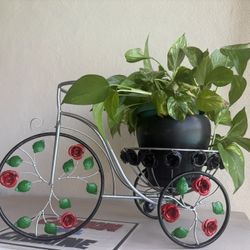 Plant With Trike