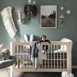 Nestig-style convertible crib + pottery barn organic mattress - $300