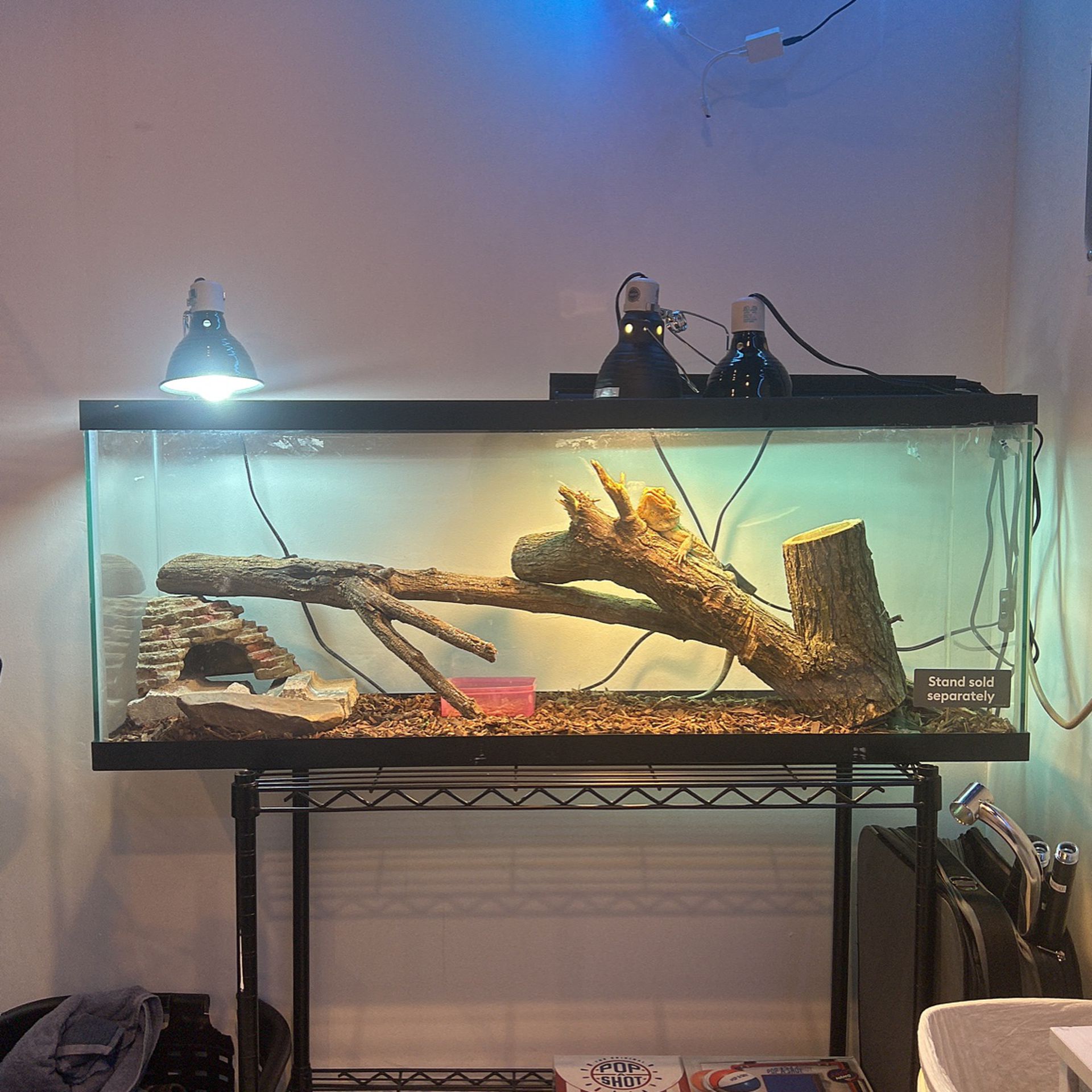 55 Gallon Fish Tank Doesn’t Come With Things Inside 