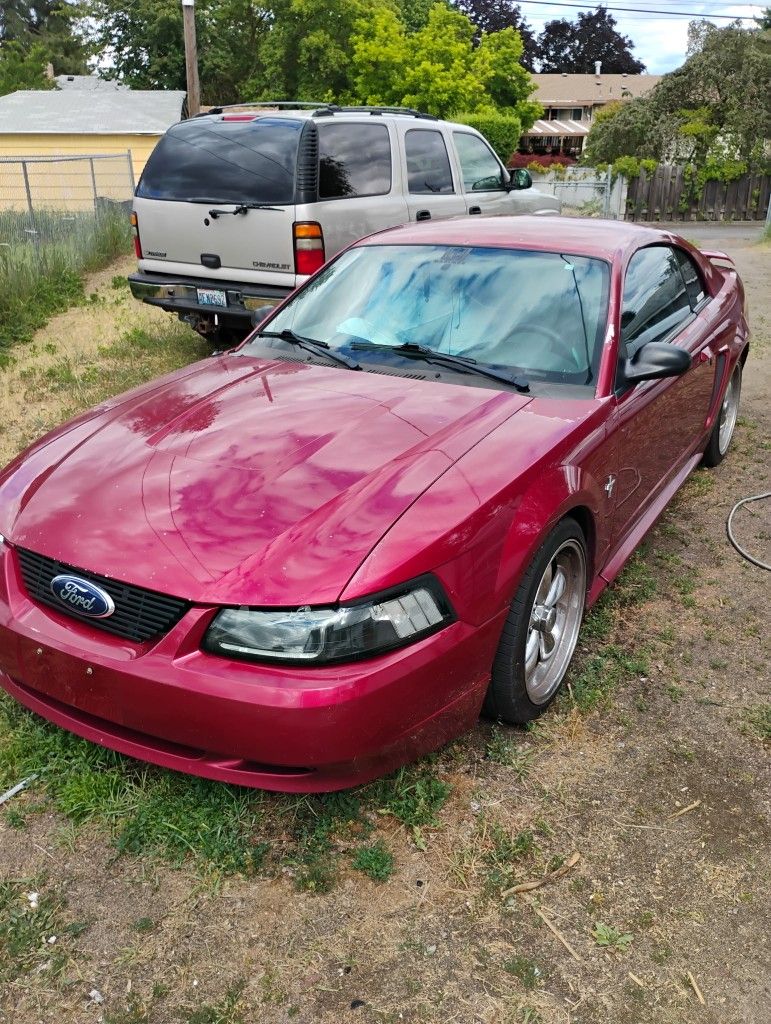 2003 Ford Mustang