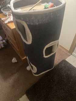 Cat items