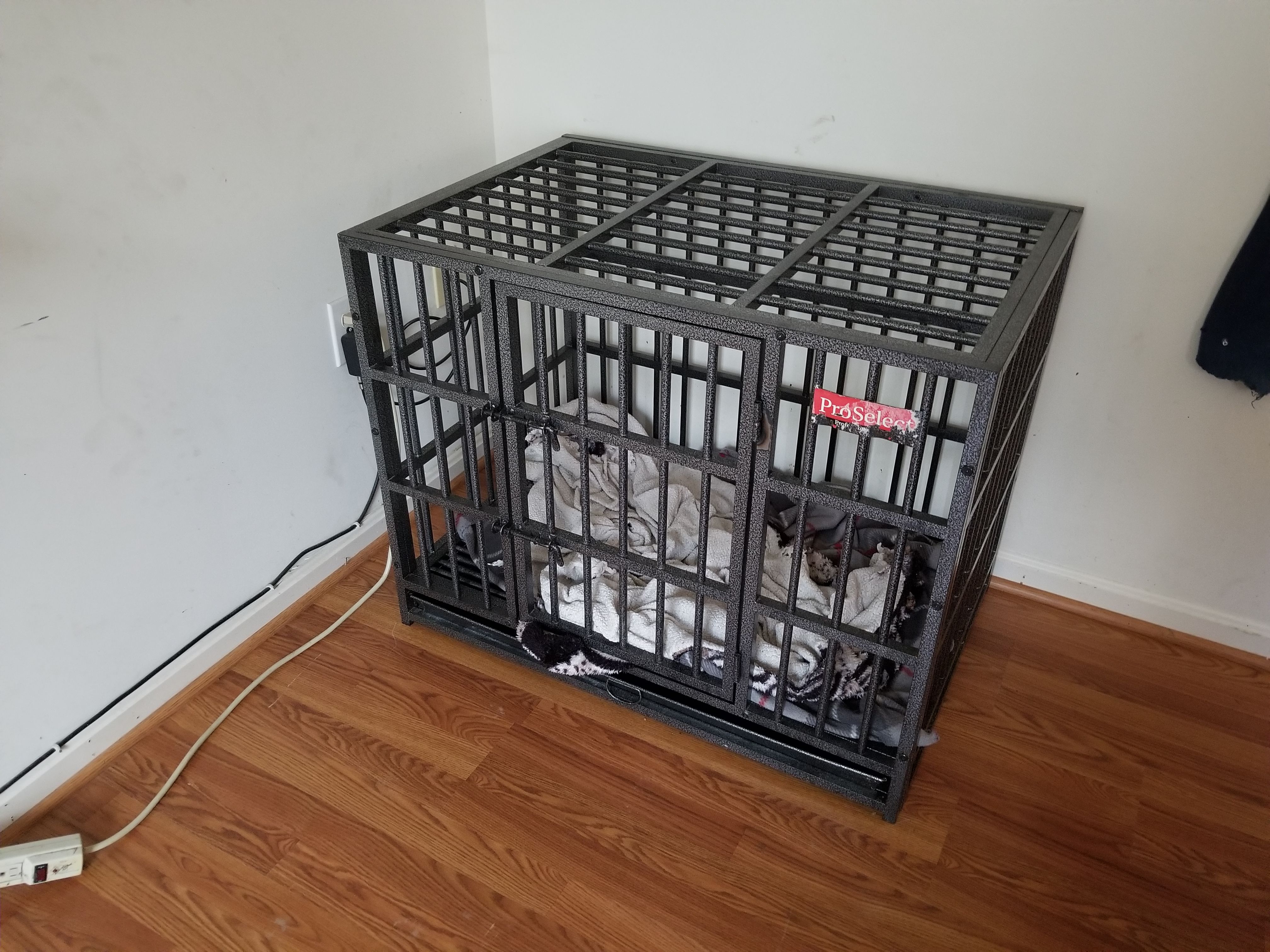 Pro select dog crate