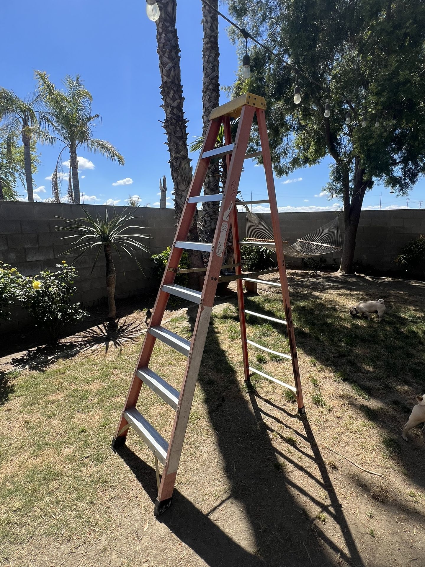 8’ Ladder 