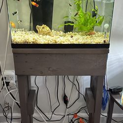 10 Gallon Fish Tank With Stand And Accessories 