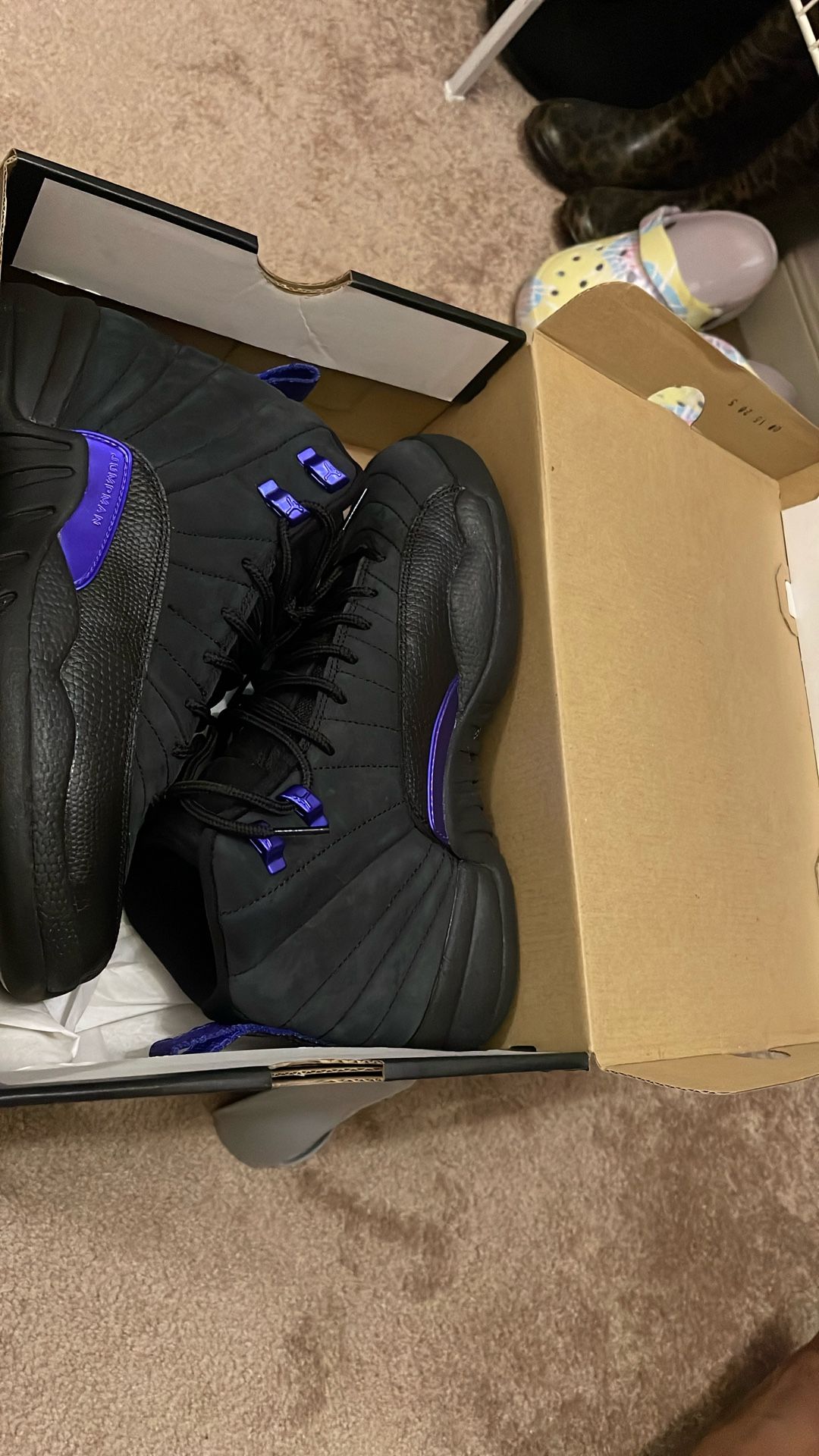Jordan Retro 12