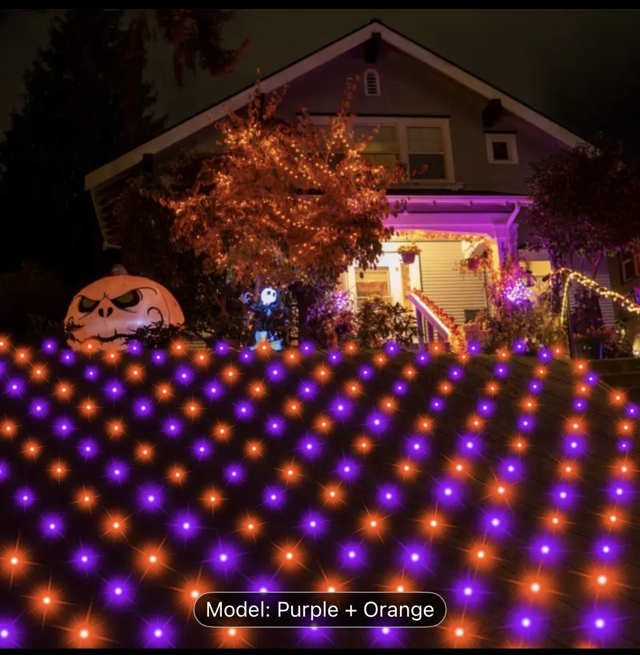 Halloween Purple and Orange Lights