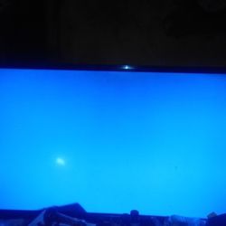 TLC Roku TV 32 Inch With Remote 