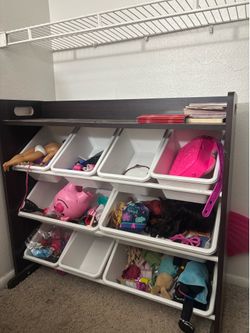 Toy organizer/shelf