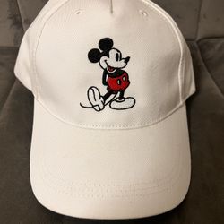 Disney Hat