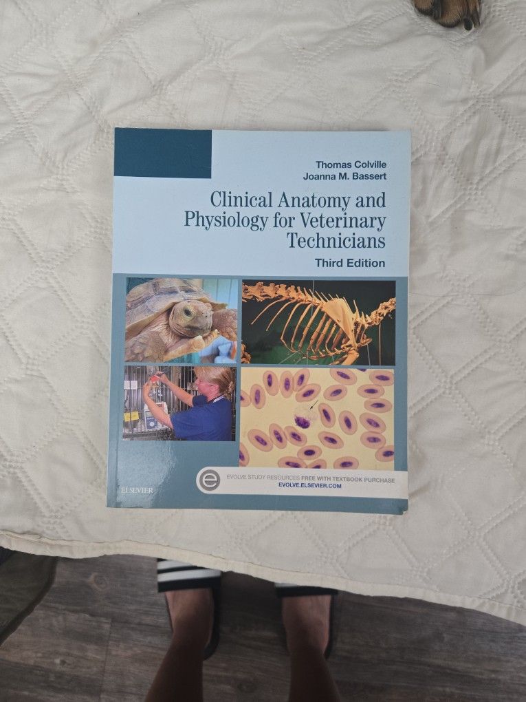 Clinical Anatomy And Physiology For Veterinary Technicians