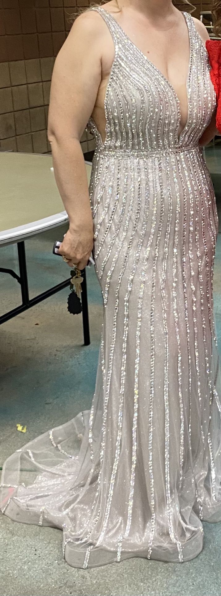 Sliver Long Dress Great Condintion