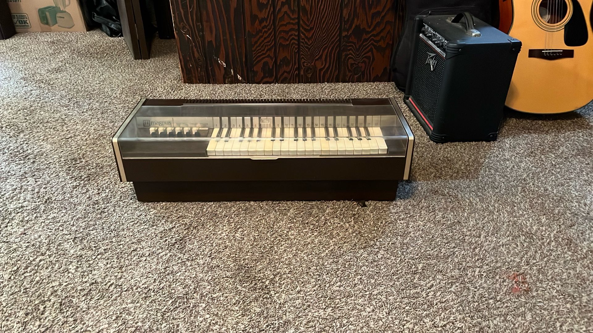 Magnus electric chord Organ