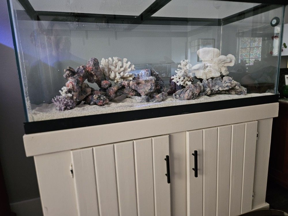 75 Gal Saltwater Aquarium