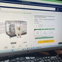 Dog Crate Petco 