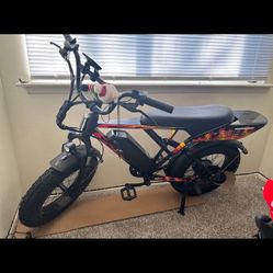 Electric Bike 