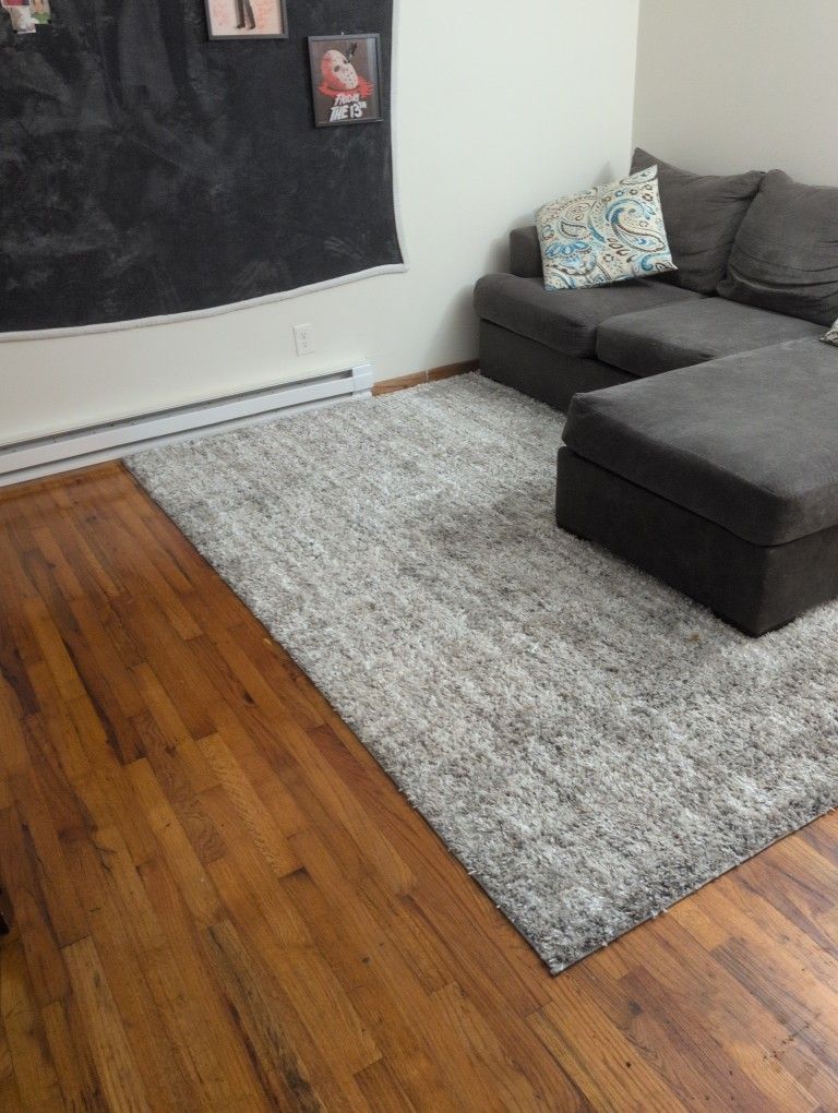 Large Area Rug