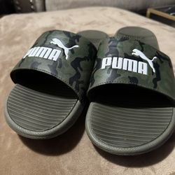 SLIDES-Puma