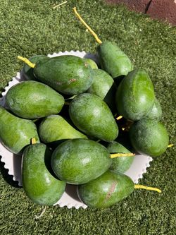 Organic big avocados 🥑 1for $1