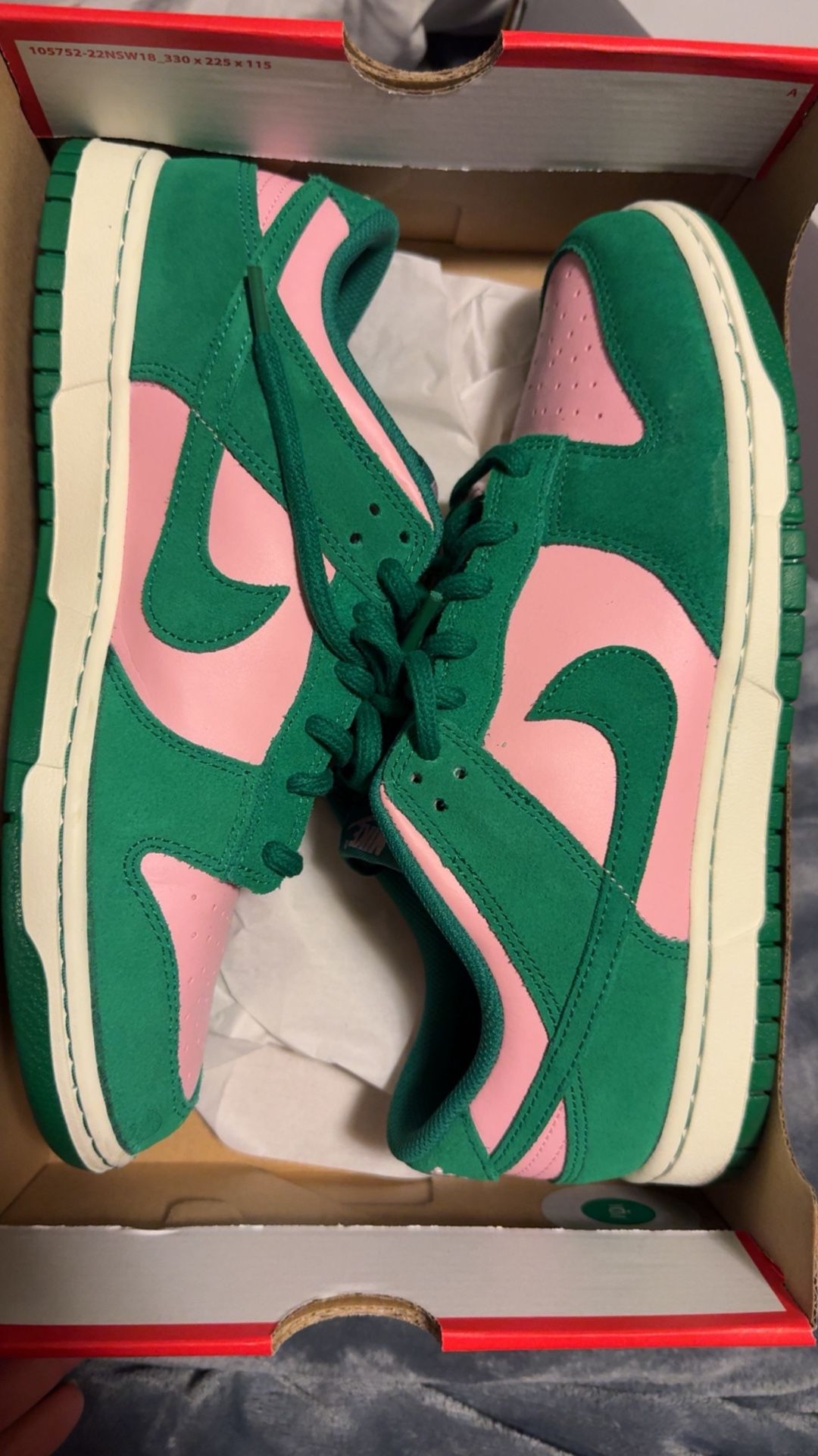 Nike Dunk Sz 11