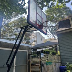 WNBA basketball Hoop