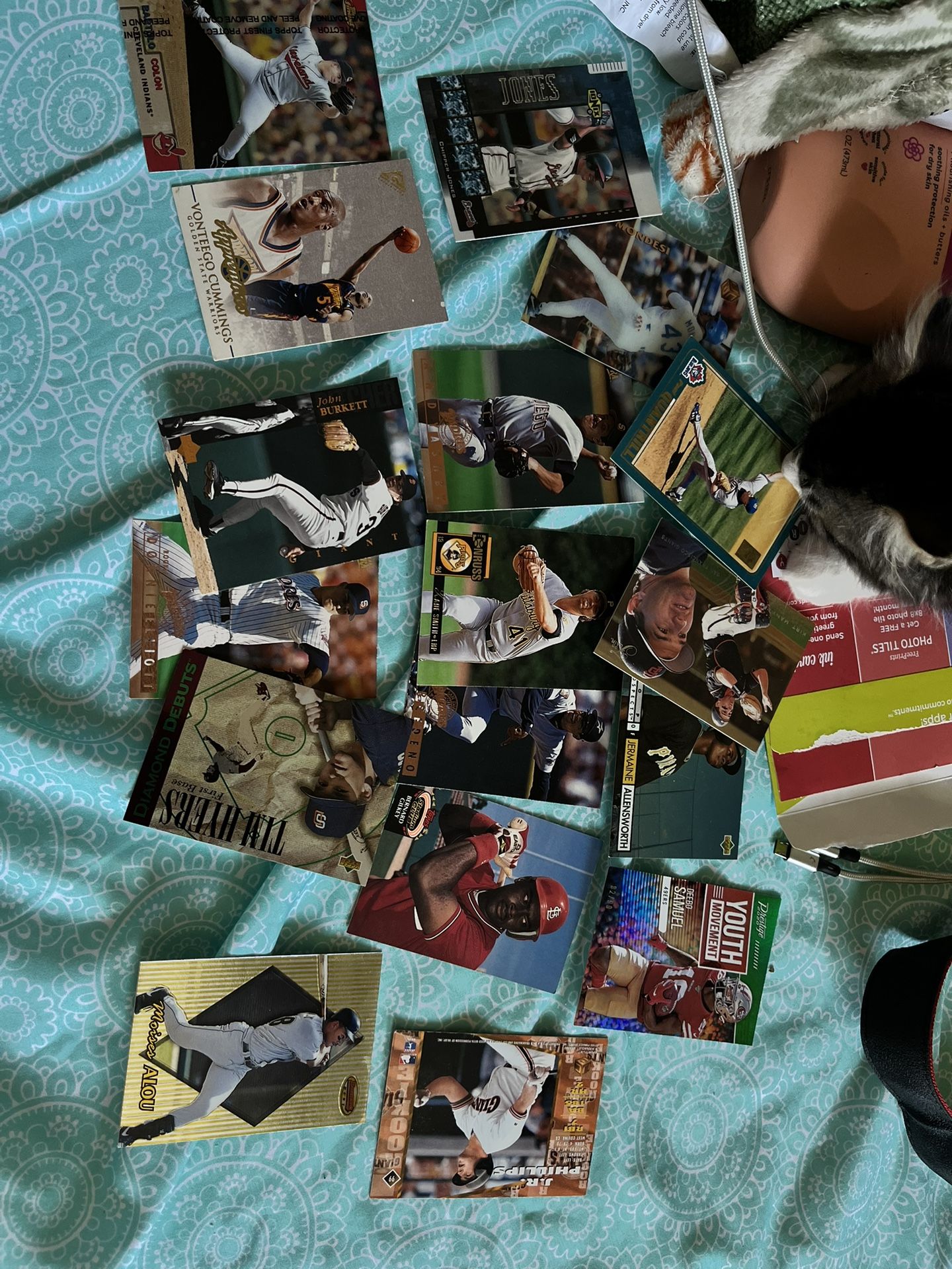 Baseball Cards!