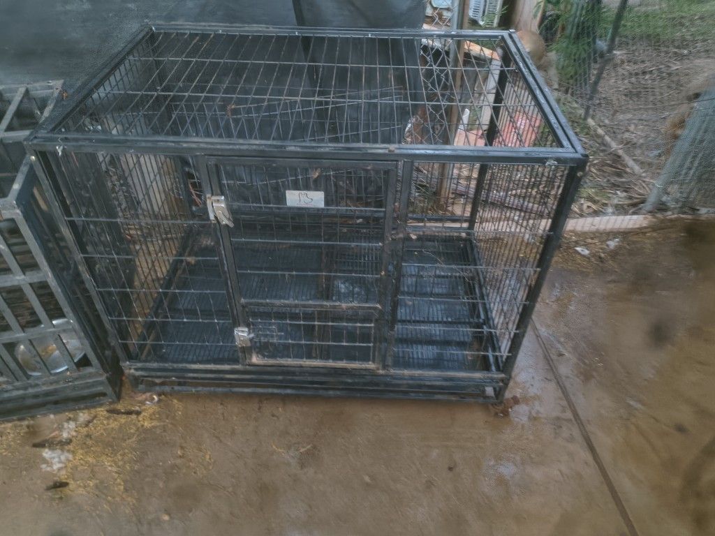 Large Dog Kennel $35