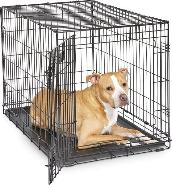 Large Dog Crate MidWest iCrate Fold & Carry Single Door Collapsible Wire Dog Crate