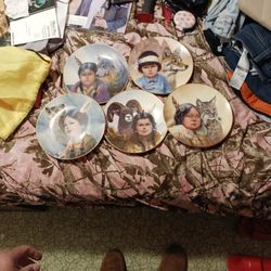 Native American Painted Plate Collection 