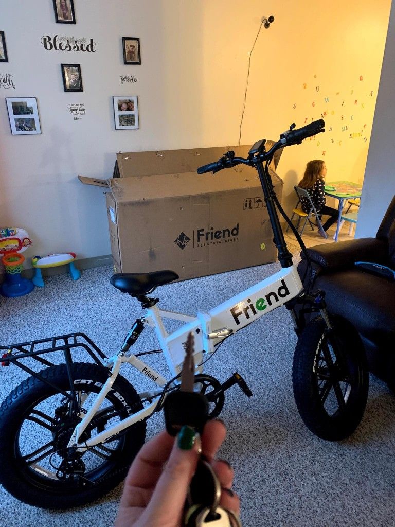 Friend E-bike