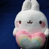 < KiwiCutie >