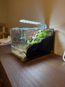Terrarium