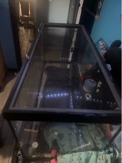 Reptile cage