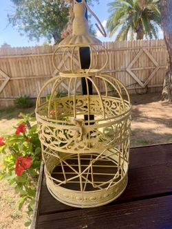 Bird-cache  Decoración 