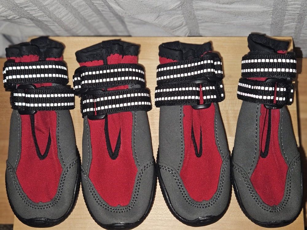 Dog Booties