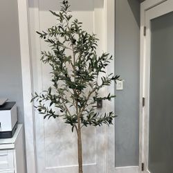Realead 7 Ft Artificial Plant.  2 Available One Just Sold Only One Remaining. 