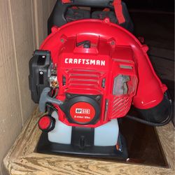 Craftsman BP 510.  2-cycle 51cc