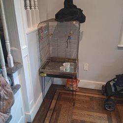 Nice Size Bird Cage Available