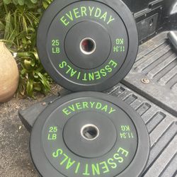 PAIR OF  NEW 25 POUND  BUMPER  PLATES