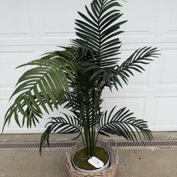 Fake Palm Tree & Basket. 61” Tall. With Tag