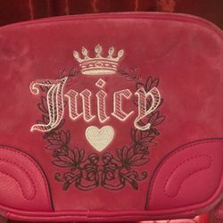 Juicy Coutoure Velvet Purse
