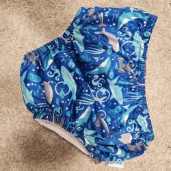 Baby Swim Diaper