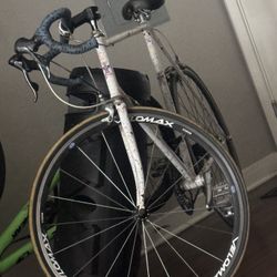 Schwinn Paramount Special edition Bike