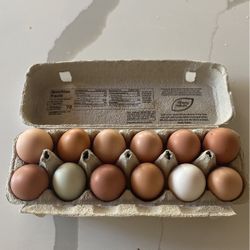Fresh Eggs