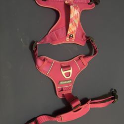 XL Harness