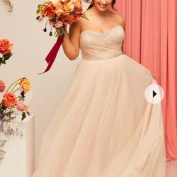 Blush Tulle Strapless Sweetheart Cut Wedding Gown
