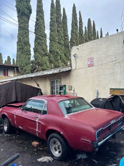 1968 mustang and 1973 Chevrolet Nova
