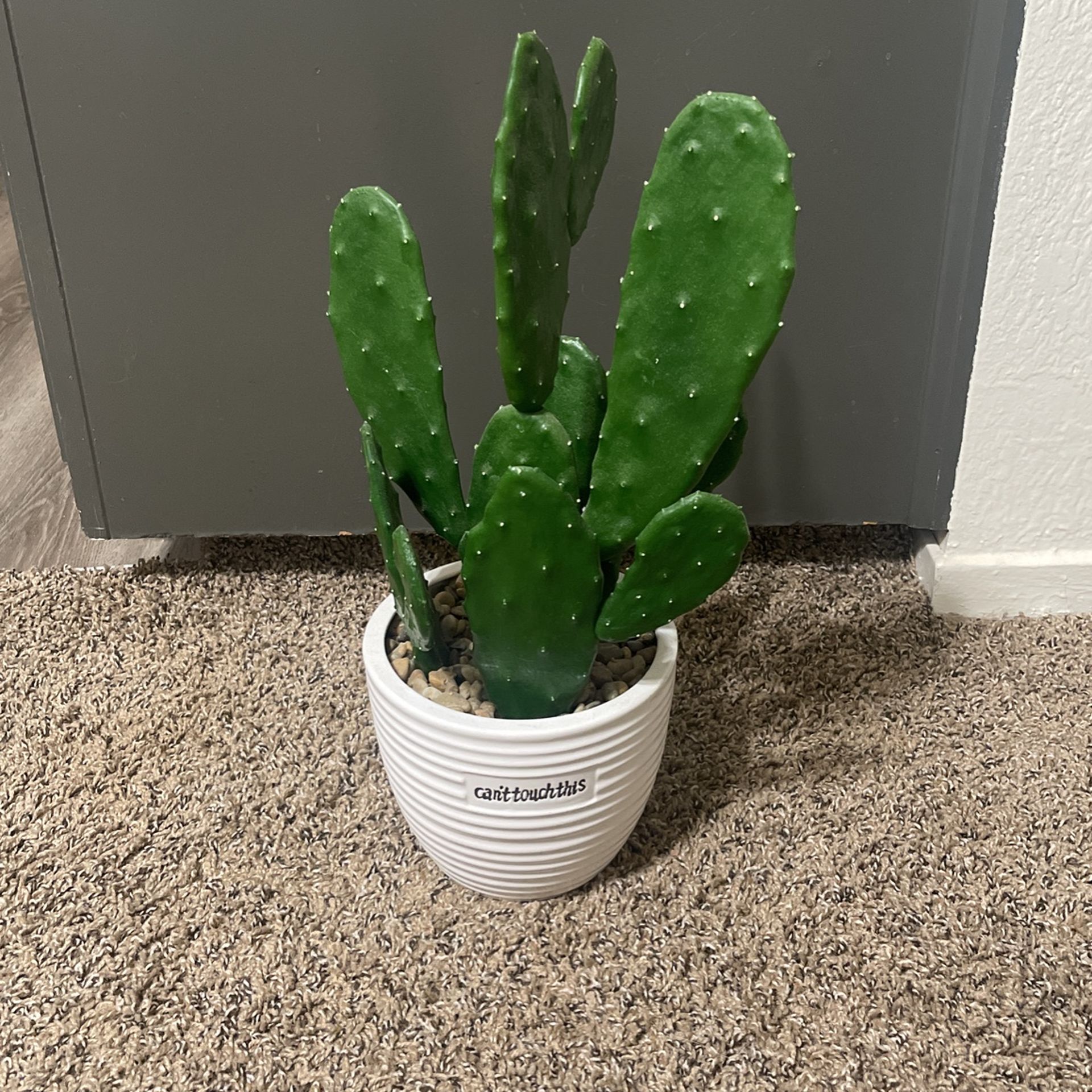 Fake Plant
