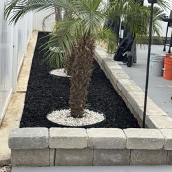 Bricks / Pavers / Mulch / Weeds / Grass 