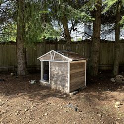 Medium To Large Dog House